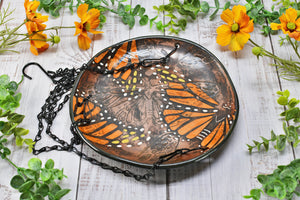 Bird Feeder Plates