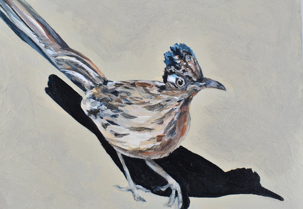 Tucson Roadrunner - Bird Original Acrylic Painting