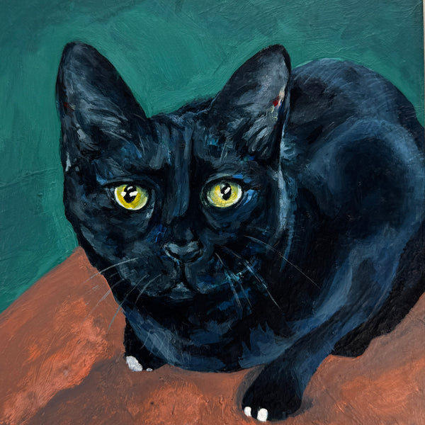 Stormy - Black Cat Original Acrylic Painting