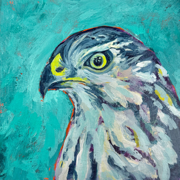 Cooper's Hawk Bird Original Acrylic Painting