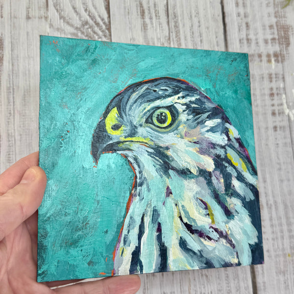 Cooper's Hawk Bird Original Acrylic Painting