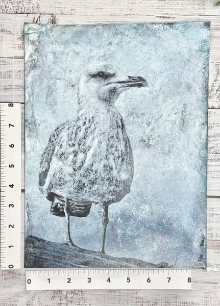 Original Painting Sea Gull Bird Artwork, Mixed Media art with Ocean Bird, Black, Gray, White, and Blue Art on Paper, Bird Lover Gift