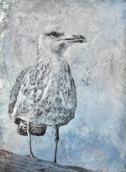Original Painting Sea Gull Bird Artwork, Mixed Media art with Ocean Bird, Black, Gray, White, and Blue Art on Paper, Bird Lover Gift