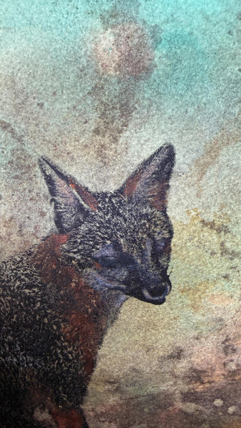 Original Fox Painting Artwork, Mixed Media Art on Paper, Gray Fox Sitting on Turquoise, Brown, Black