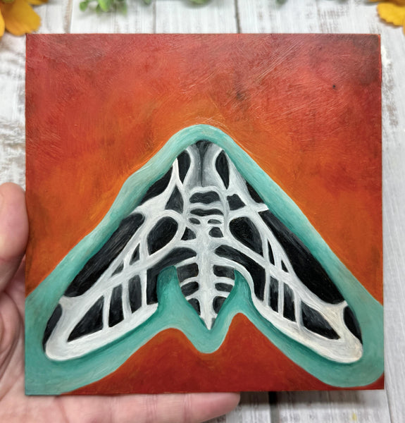 Original Oil Painting, Sphinx Moth Art, Unframed, Insect Garden Lover Gift, Red, Turquoise, Black, White, Square Small Original Artwork