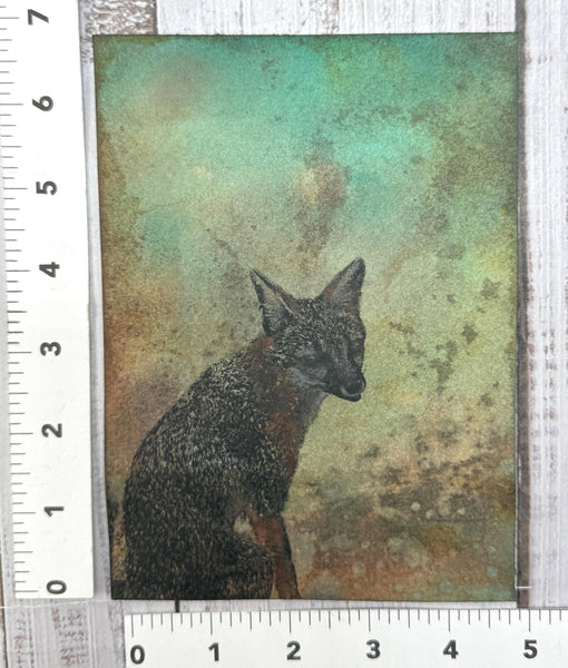 Original Fox Painting Artwork, Mixed Media Art on Paper, Gray Fox Sitting on Turquoise, Brown, Black