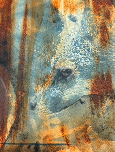 Original Fox Painting Artwork, Cyanotype Blue Photo, Brown Sienna Rust, Dark Black Mixed Media Art on Paper, Gray Fox Profile
