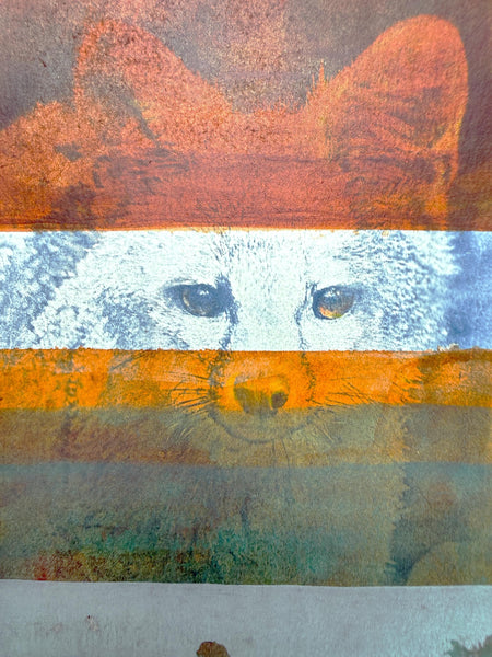 Original Fox Painting Small Artwork, Acrylic Watercolor Mixed Media Art on Paper, Cyanotype Gray Fox Face, Blue, Green, Orange, Gray