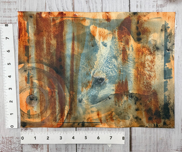 Original Fox Painting Artwork, Cyanotype Blue Photo, Brown Sienna Rust, Dark Black Mixed Media Art on Paper, Gray Fox Profile