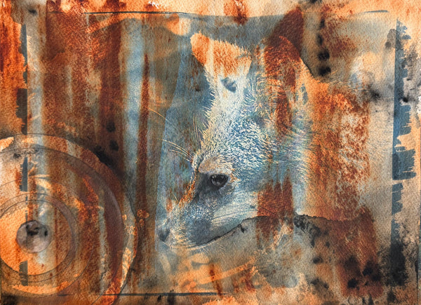 Original Fox Painting Artwork, Cyanotype Blue Photo, Brown Sienna Rust, Dark Black Mixed Media Art on Paper, Gray Fox Profile