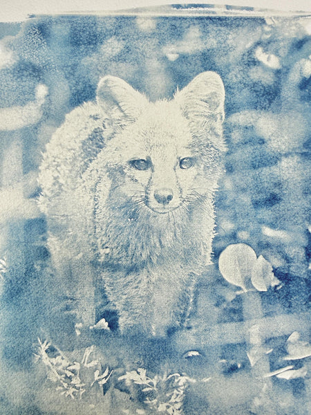 Cyanotype Fox Original Artwork, Photograph Art on Paper, Gray Fox Face, Blue, Gray